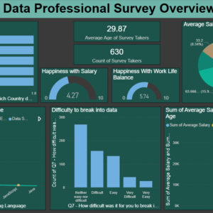 Data professional survey overview