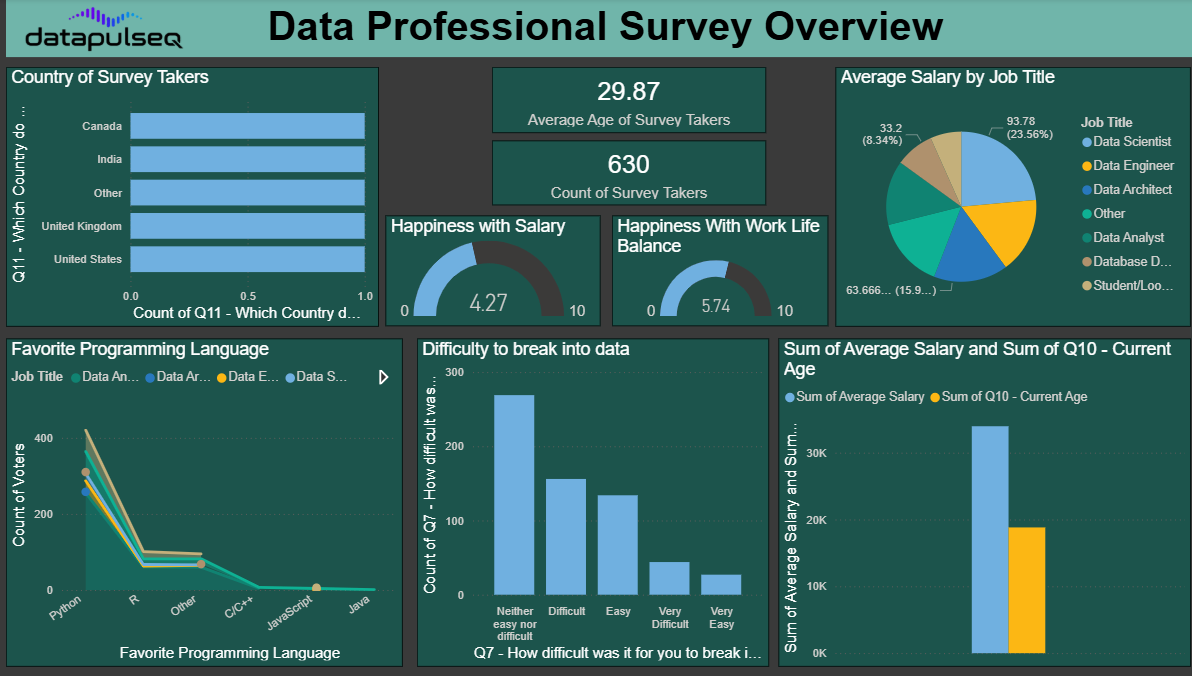 Data professional survey overview