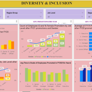 HR Diversity Inclusion analysis dashboard