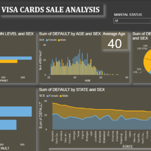 VISA data analysis dashboard