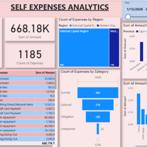 Self expanses Analytics